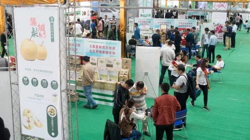 这一年，我们不一样——礼仪服务的变革与坚守